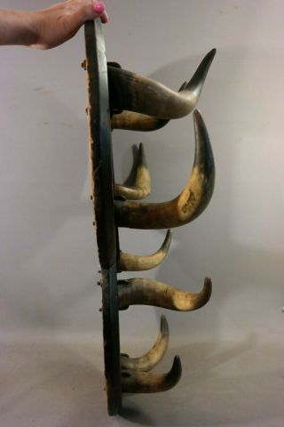 19thC Antique OLD WEST Cow Town SALOON Size CATTLE HORN Western BROTHEL HAT RACK 10