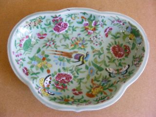 19th Century Chinese Famille Rose Celadon Phoenix and Butterfly Scalloped Dish 2