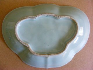 19th Century Chinese Famille Rose Celadon Phoenix and Butterfly Scalloped Dish 3