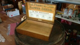 Antique Dm Ferry & Co Mercantile Flower Seed Box Oak Store Counter Display Case