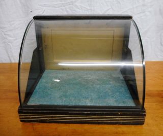 Art Deco 1920 ' s Counter Top Display Case Curved Glass with Key 7