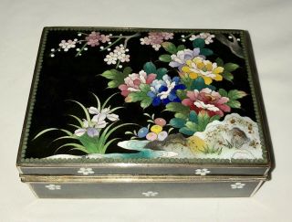 Vtg Antique Japanese Enamel Cloisonné Meiji Box Cherry Blossom Iris On Black