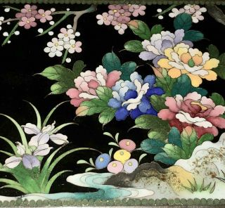 Vtg Antique Japanese Enamel Cloisonné Meiji Box Cherry Blossom Iris On Black 3