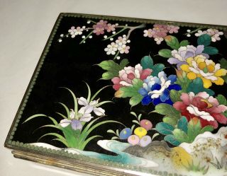 Vtg Antique Japanese Enamel Cloisonné Meiji Box Cherry Blossom Iris On Black 4