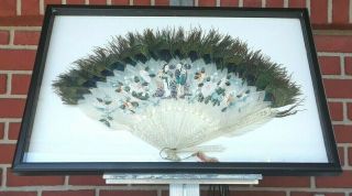 Antique 19th Century Hand Fan W/ Carved Bone And Painted Feathers,  Framed