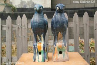 45cm Pairs Tang Sancai Glazed Pottery Fengshui Glazed Tile Totems Blue Parrot