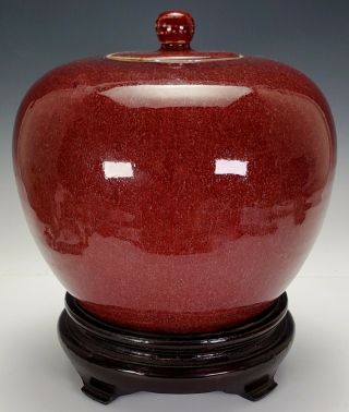 ANTIQUE 19TH C CHINESE SANG DE BOEUF OX BLOOD GLAZE PORCELAIN LIDDED GINGER JAR 7