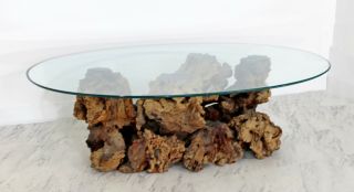 Mid Century Modern Sculptural Burl Wood Driftwood Tree Trunk Coffee Table 1960s 5