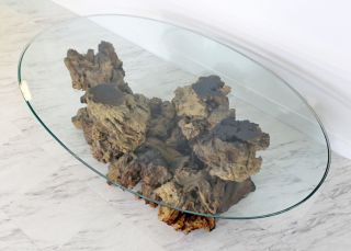 Mid Century Modern Sculptural Burl Wood Driftwood Tree Trunk Coffee Table 1960s 8