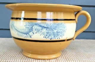 Antique 19th C Yellow Ware Blue Seaweed Mocha Chamber Pot 4 1/2 "