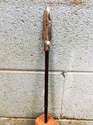 Antique Japanese Spear Edo Yari Samurai Halberd Not Sword Katana Wakizashi 11