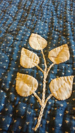 ANTIQUE EARLY 1800 BLUE FLORAL WHITE APPLIQUE QUILT NC MUSEUM CLARK ANDOVER NY 8