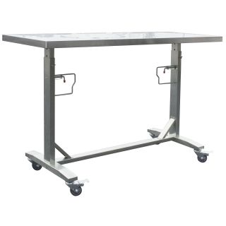 Stainless Steel Adjustable Height Work Table