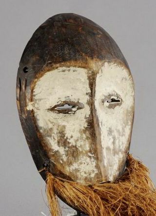 African Mask Lega Bwami Cult Tribal Art Congo Tribal Art Gallery Belgium