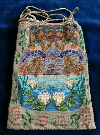 Stunning Antique Bead Work Drawstring Bag / Purse,  Dragonfly / Lily Pond