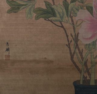 Chinese Old Ma Lin Scroll Painting Peony Flower 78.  74” 4