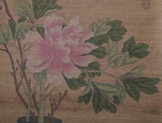 Chinese Old Ma Lin Scroll Painting Peony Flower 78.  74” 6