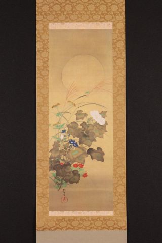 Japanese Hanging Scroll S.  Hoichi Painting On Silk W/ Box - Moon & Fall Grasses