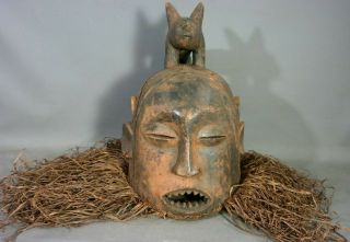 Lg Vintage African Mask Old Sharp Teeth Tribal Art Wood Carved Cat Figure Statue