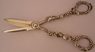 Another Fantastic Quality Large Tiffany Cast Sterling 7 3/8 " Grape Shears 1880