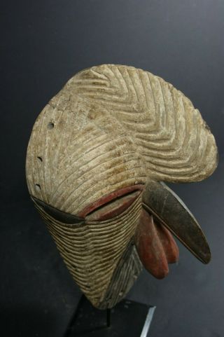 African male KIFWEBE beak mask - SONGYE tribe - D.  R.  Congo,  TRIBAL ART PRIMITIVE 10