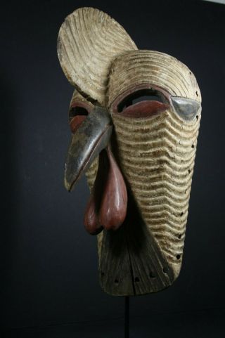 African Male Kifwebe Beak Mask - Songye Tribe - D.  R.  Congo,  Tribal Art Primitive
