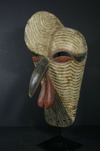 African male KIFWEBE beak mask - SONGYE tribe - D.  R.  Congo,  TRIBAL ART PRIMITIVE 7