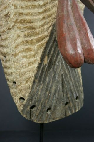African male KIFWEBE beak mask - SONGYE tribe - D.  R.  Congo,  TRIBAL ART PRIMITIVE 8