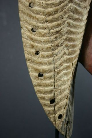 African male KIFWEBE beak mask - SONGYE tribe - D.  R.  Congo,  TRIBAL ART PRIMITIVE 9