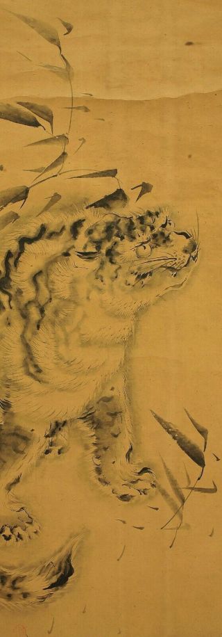 掛軸1967 Japanese Hanging Scroll " Fierce Tiger " @e163