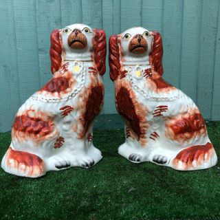 Pair: Mid 19thc Staffordshire Russet Red & White Spaniel Dogs C1860s