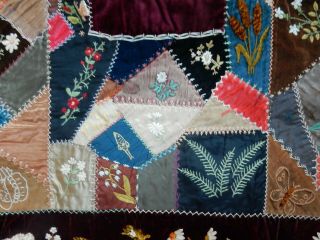 Two 1886 - 89 Antique Velvet & Silk Embroidered Crazy Quilts 3