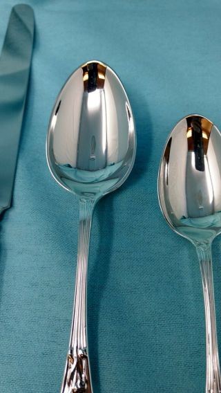 TIFFANY & CO Sterling Silver Five - Piece Audubon Flatware Set Silverware 8