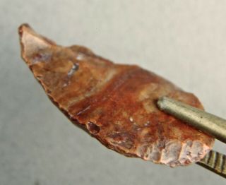 500 - 5000yrs Aleut Artifact Kodiak Islnd Ak Inuit Stone Carving Knife Blade 195