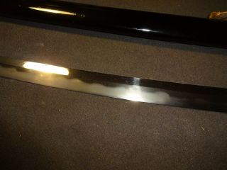 K98 Japanese sword wakizashi in mountingsm umetada tsuba 4