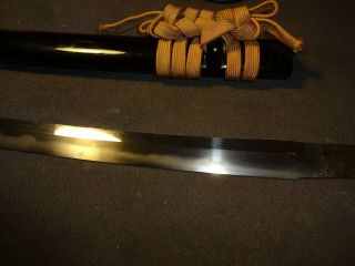 K98 Japanese sword wakizashi in mountingsm umetada tsuba 5