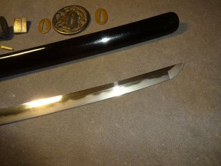 K98 Japanese sword wakizashi in mountingsm umetada tsuba 6