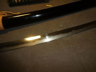 K98 Japanese sword wakizashi in mountingsm umetada tsuba 7