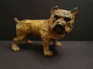 All Hubley Antique Bulldog Dog Cast Iron Bank 1920