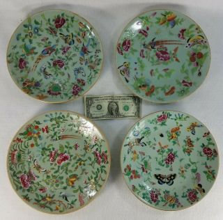 4 Antique Chinese Celadon Porcelain Plates Canton Famille Rose Export 19th C.