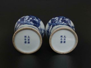 Pair Rare Antique Chinese Porcelain Blue and White Vase Kangxi Marked - figures 5
