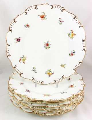 Set 7 Dinner Plates Antique Brown Westhead Cauldon Bone China H4836 Gold Flowers