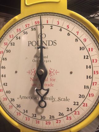 ANTIQUE AMERICAN FAMILY SCALE HANGING SCALE 60 LBS Yellow 10