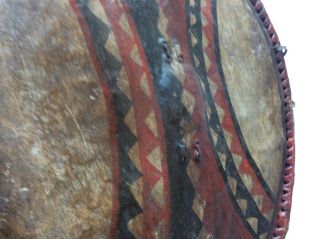 OLD ANTIQUE AFRICAN MASSAI PAINTED SHIELD NO SWORD DAGGER 12