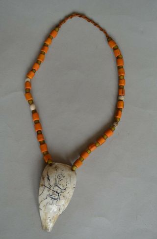 Naga Vintage Tribal Conch Necklace Tribal Jewelry Jewellery