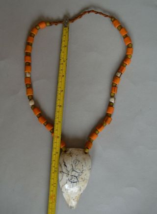 Naga Vintage Tribal Conch Necklace Tribal jewelry jewellery 4