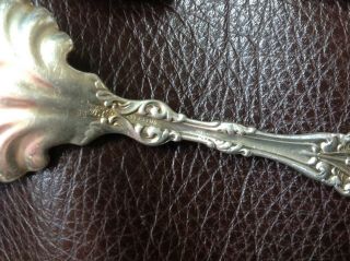 WHITING LILY 1902 STERLING SILVER GOLD WASH COFFEE SPOON & MORE 3