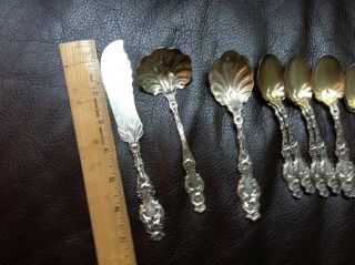 WHITING LILY 1902 STERLING SILVER GOLD WASH COFFEE SPOON & MORE 5