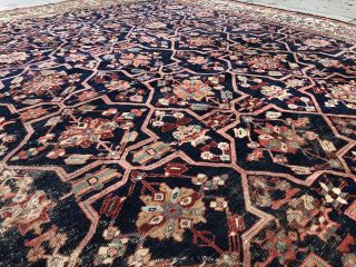Auth: Early 19th C Antique Rug RARE 12x13 Organic Ancient Chic Collectible NR 2
