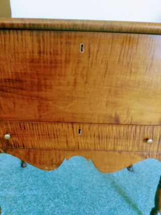 1800s Southern Tiger Maple Sugar Chest Rare 6